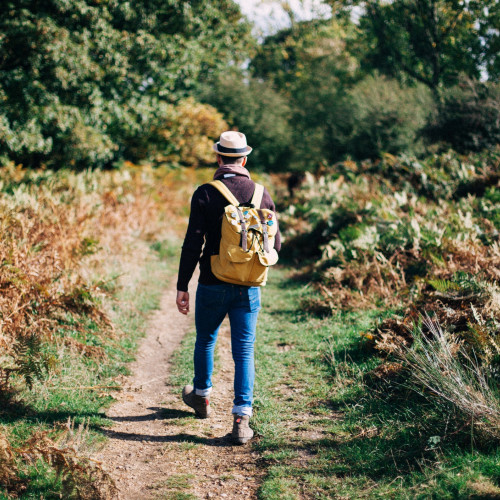 What To Pack For A Day Hike: Day Hike Packing List You Can Use Time And Again